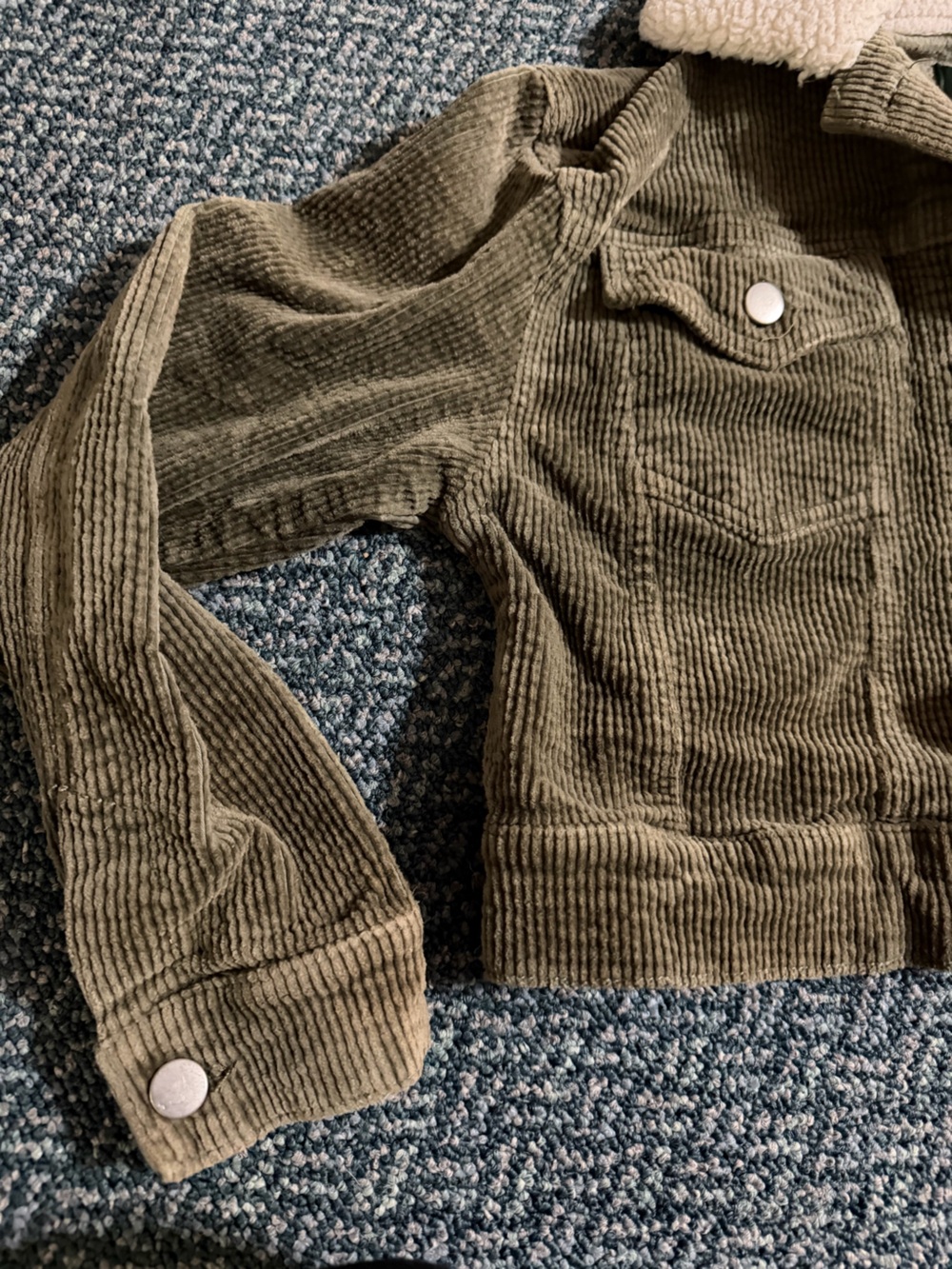 🐊Wild Fable Crop Jacket - Picture 3 of 4